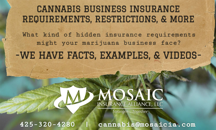 Blog Post - Cannabis Business Insurance Requirements, Restrictions, and More Text over Image of a Cannabis Plant